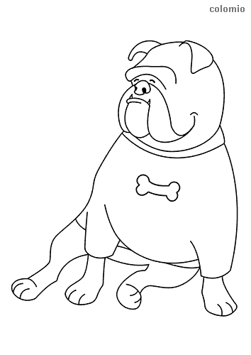 Animals coloring pages free printable animals coloring sheets