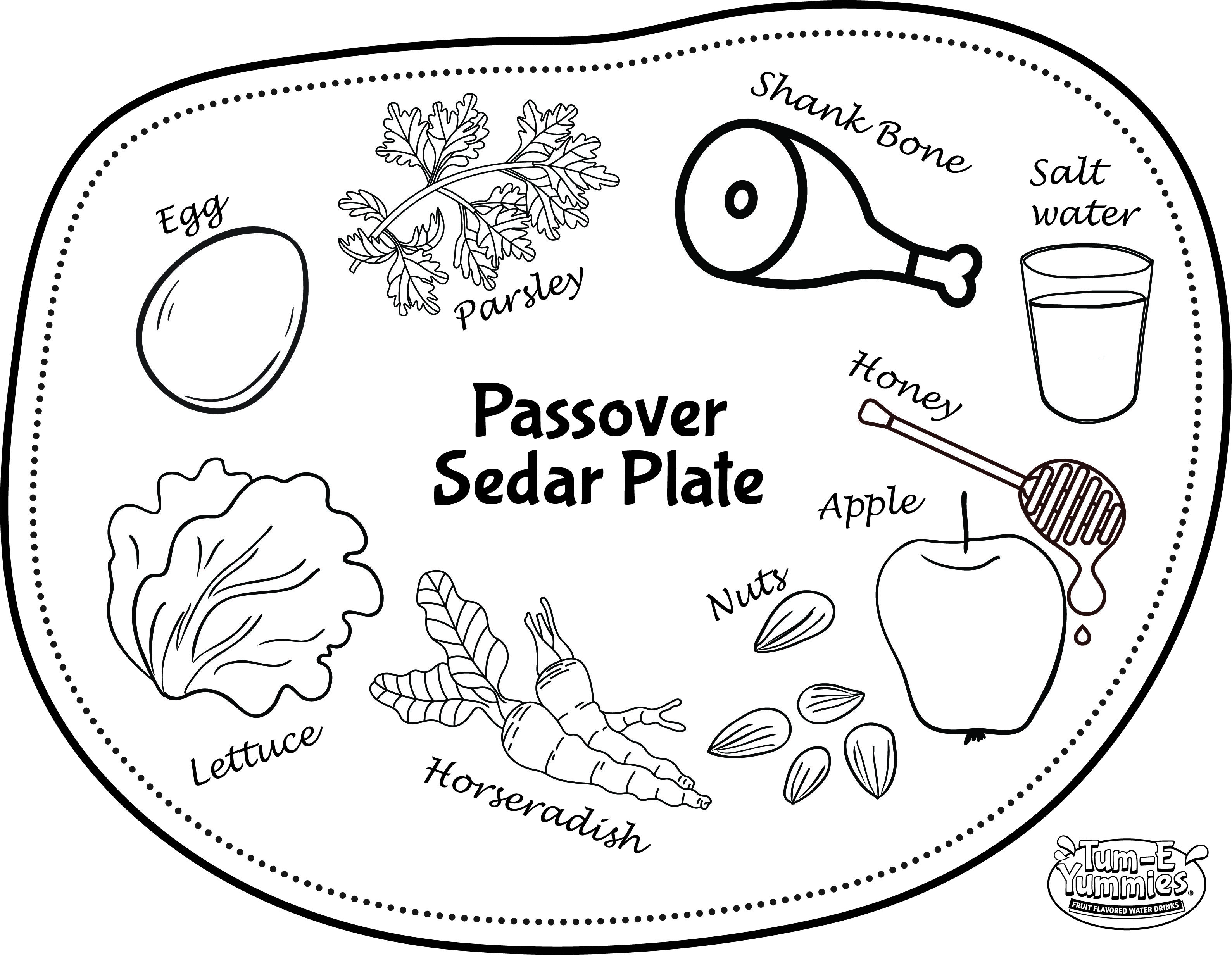 Passover seder plate passover seder passover