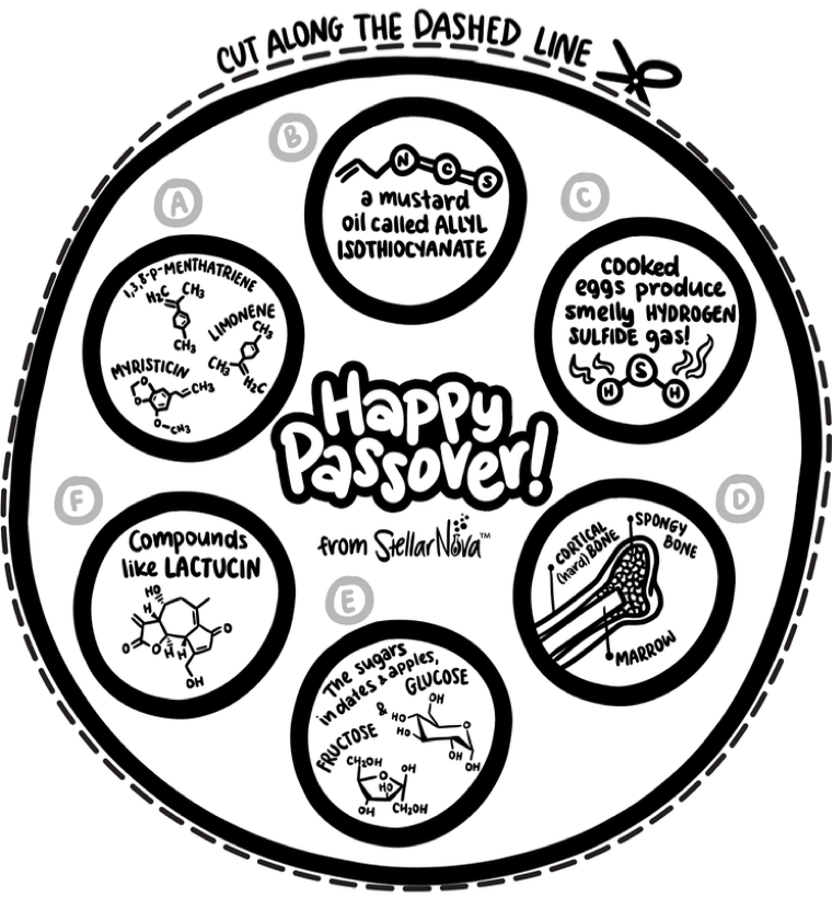 Science seder plate passover haggadah by stellar nova