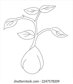 Cute cartoon seed sprouting coloring page stock vector royalty free