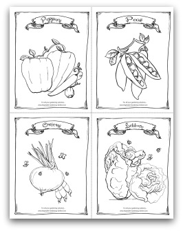 Free vegetable garden coloring books