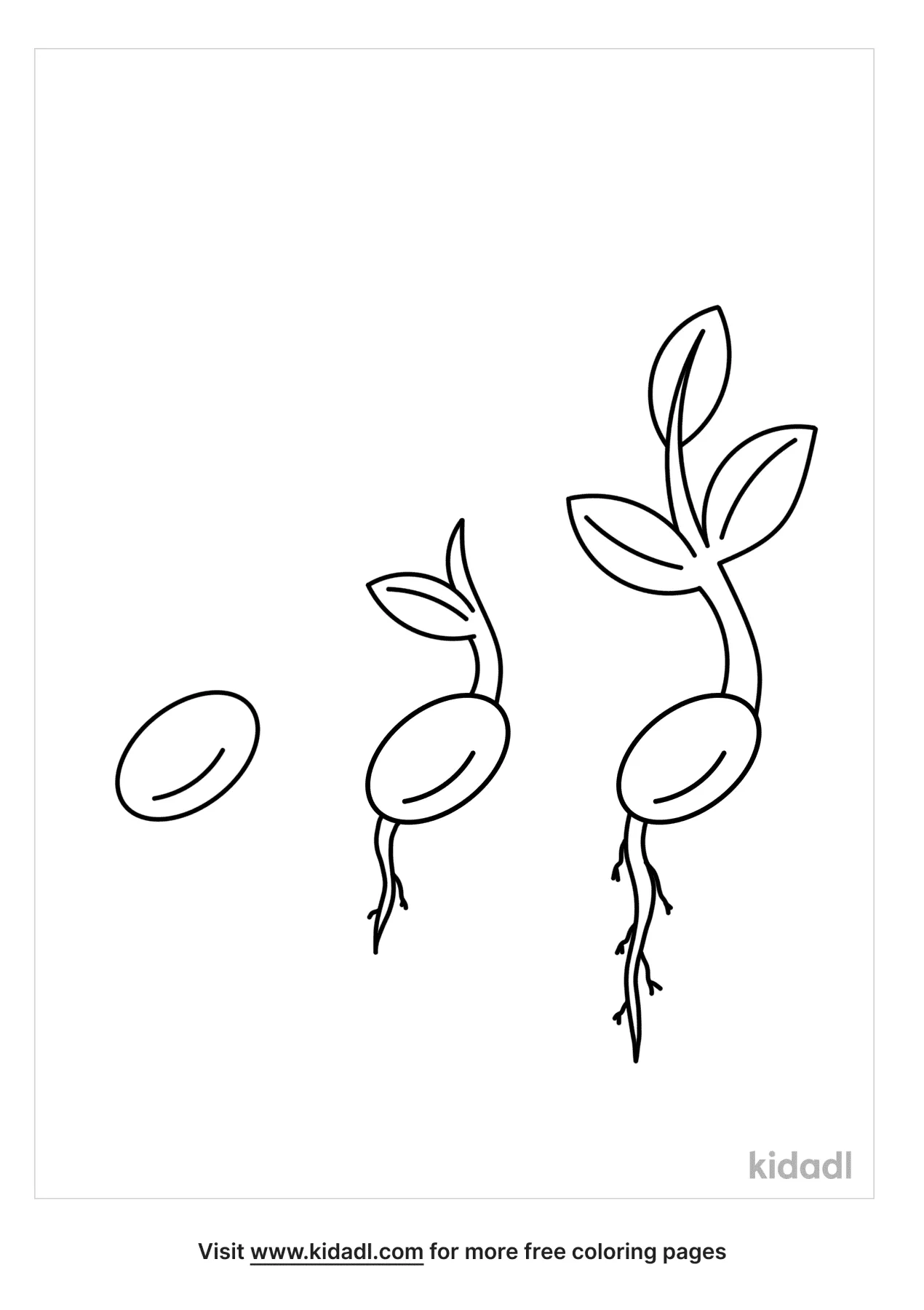 Free seed sprouting coloring page coloring page printables