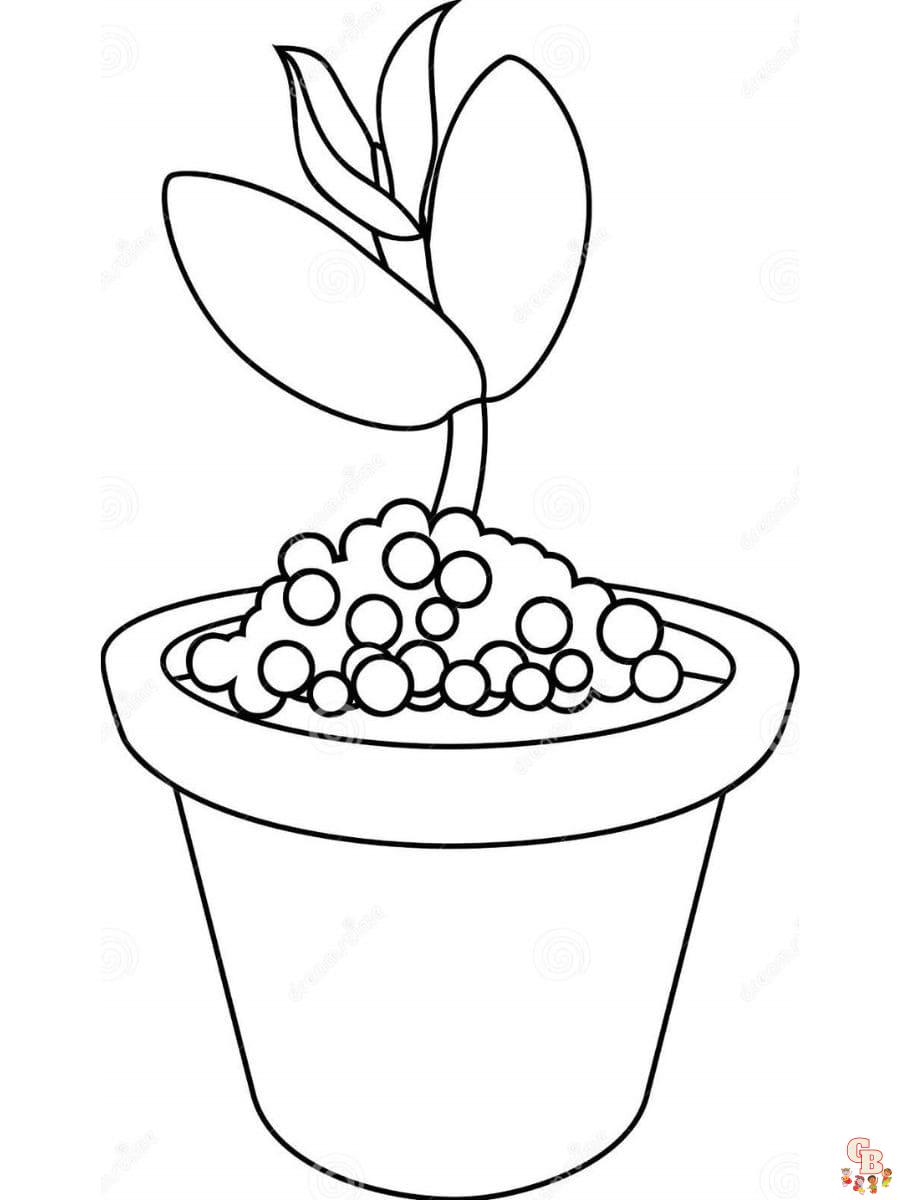 Printable seedling coloring pages free for kids and adults