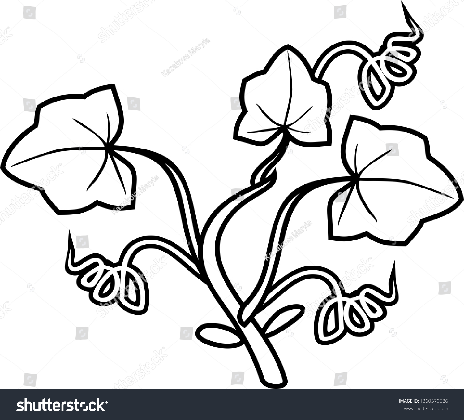 Coloring page general view seedling pumpkin stock vector royalty free