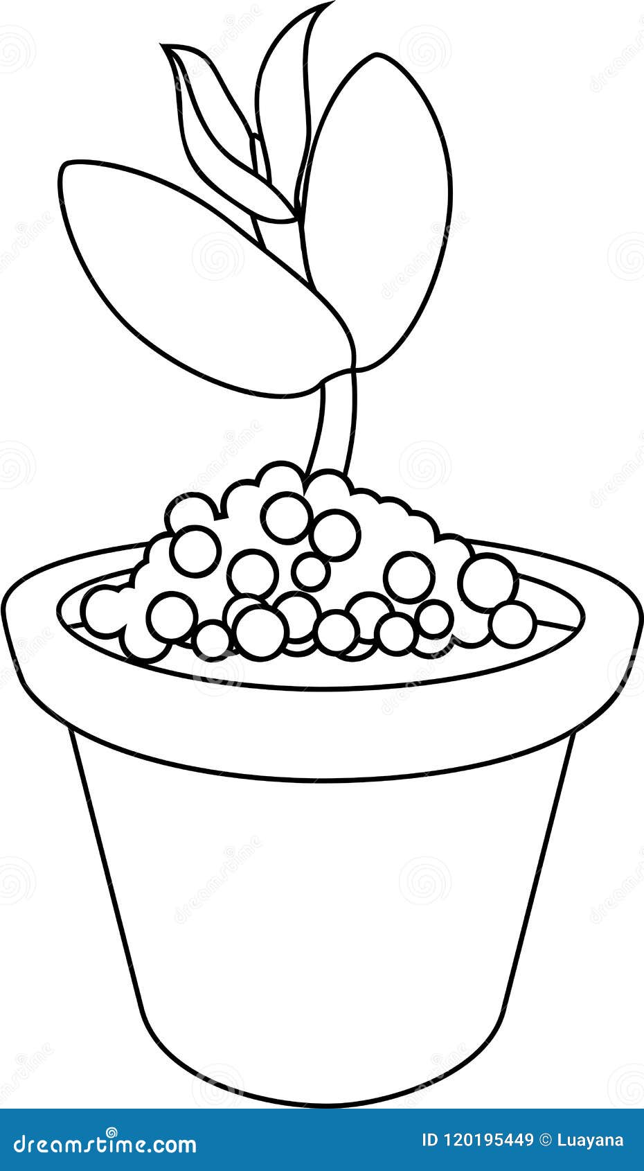 Coloring page seedling in flowerpot stock vector