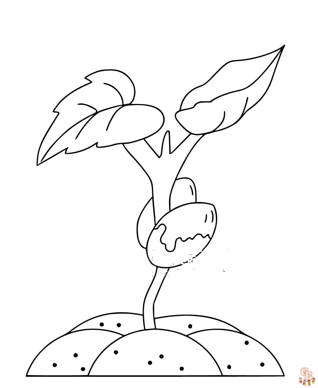 Printable seedling coloring pages free for kids and adults