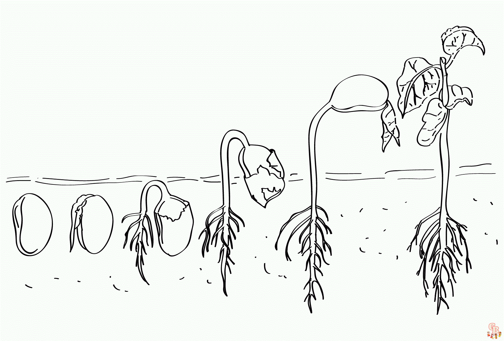 Printable seedling coloring pages free for kids and adults