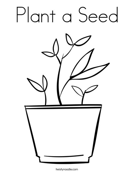 Plant a seed coloring page