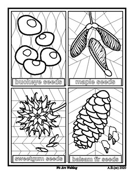 Coloring page seeds by a bees art wares tpt