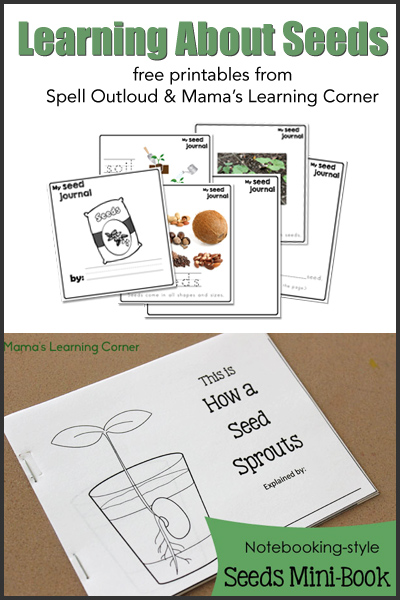 Free seed book and coloring pages