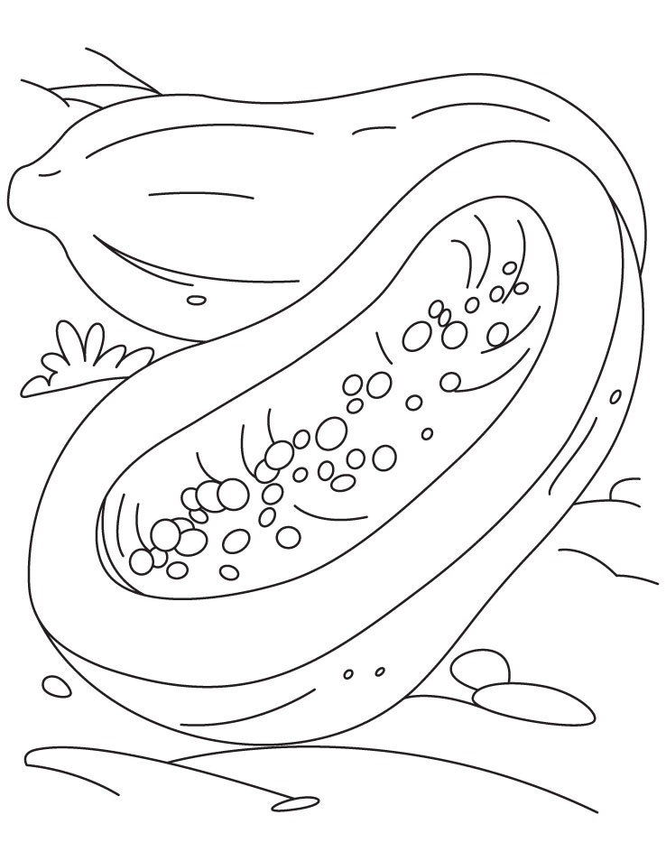 Papaya with black seeds coloring pages download free papaya with black seeds coloring pages for kids best coloring pages