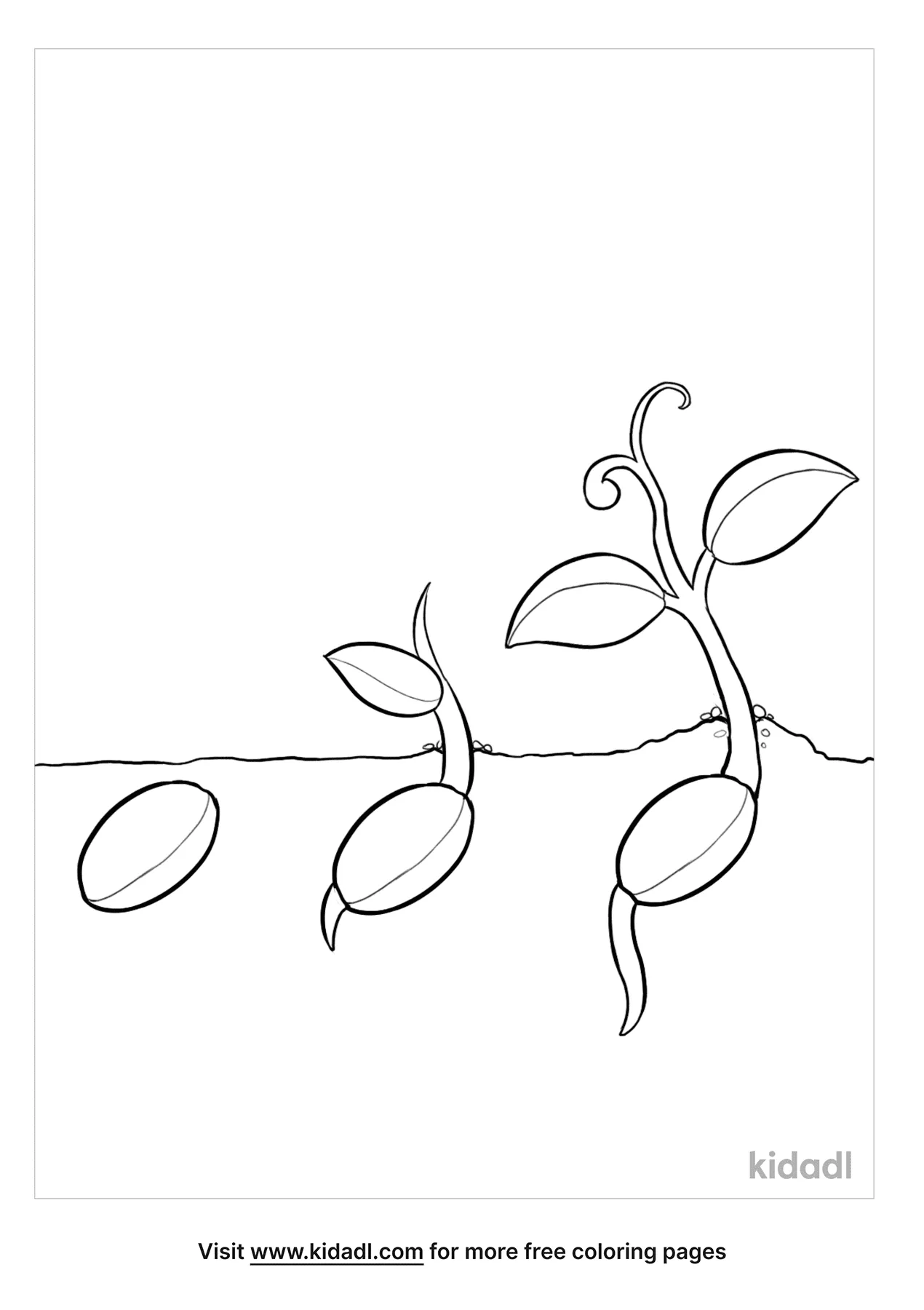 Free plant a seed coloring page coloring page printables