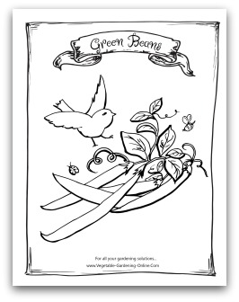 Free vegetable garden coloring books