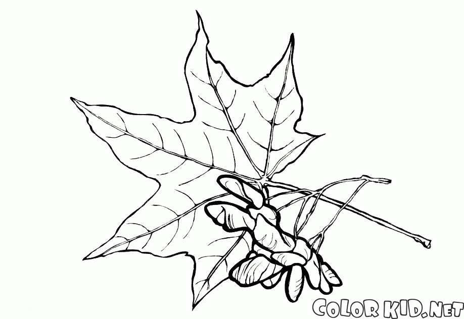 Coloring page