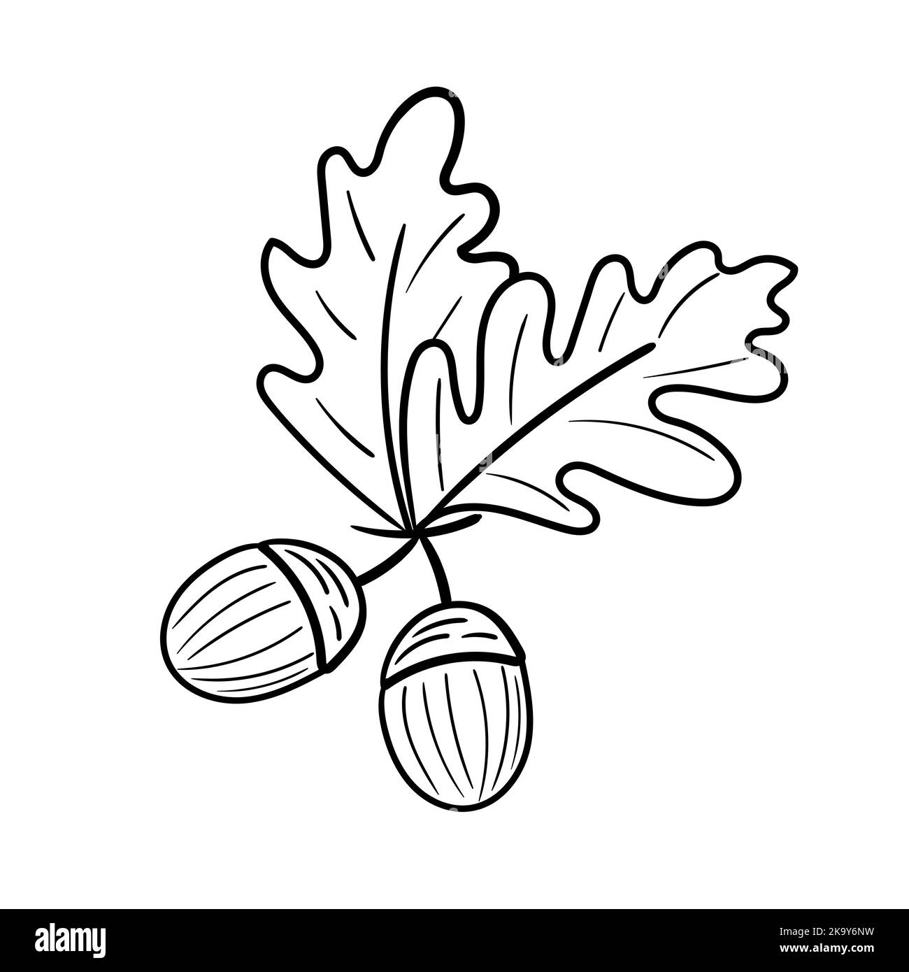 Coloring seed black and white stock photos images