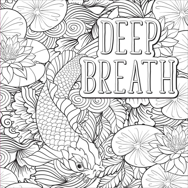 Self care artists coloring book â peter pauper press