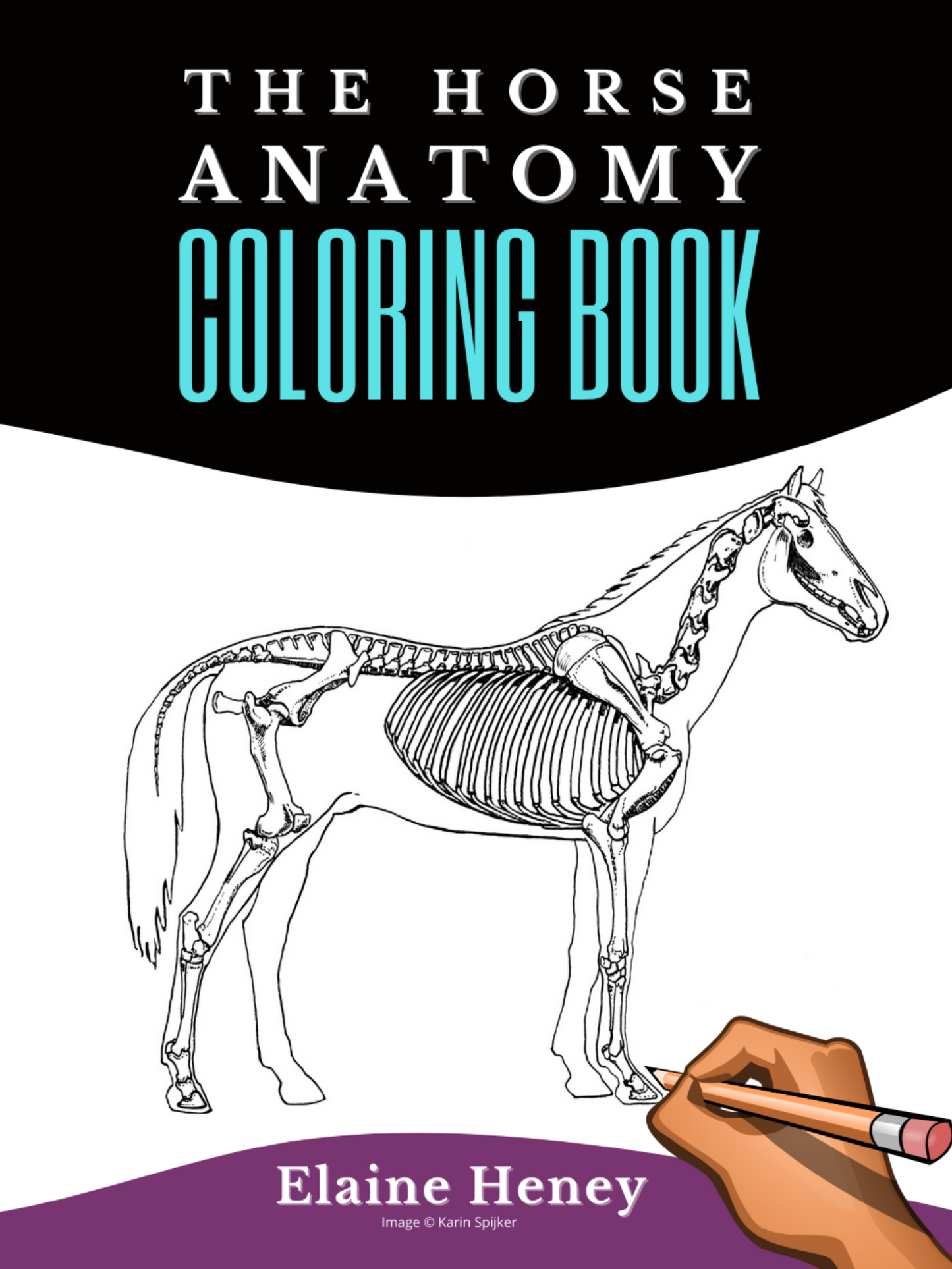 Horse anatomy coloring book