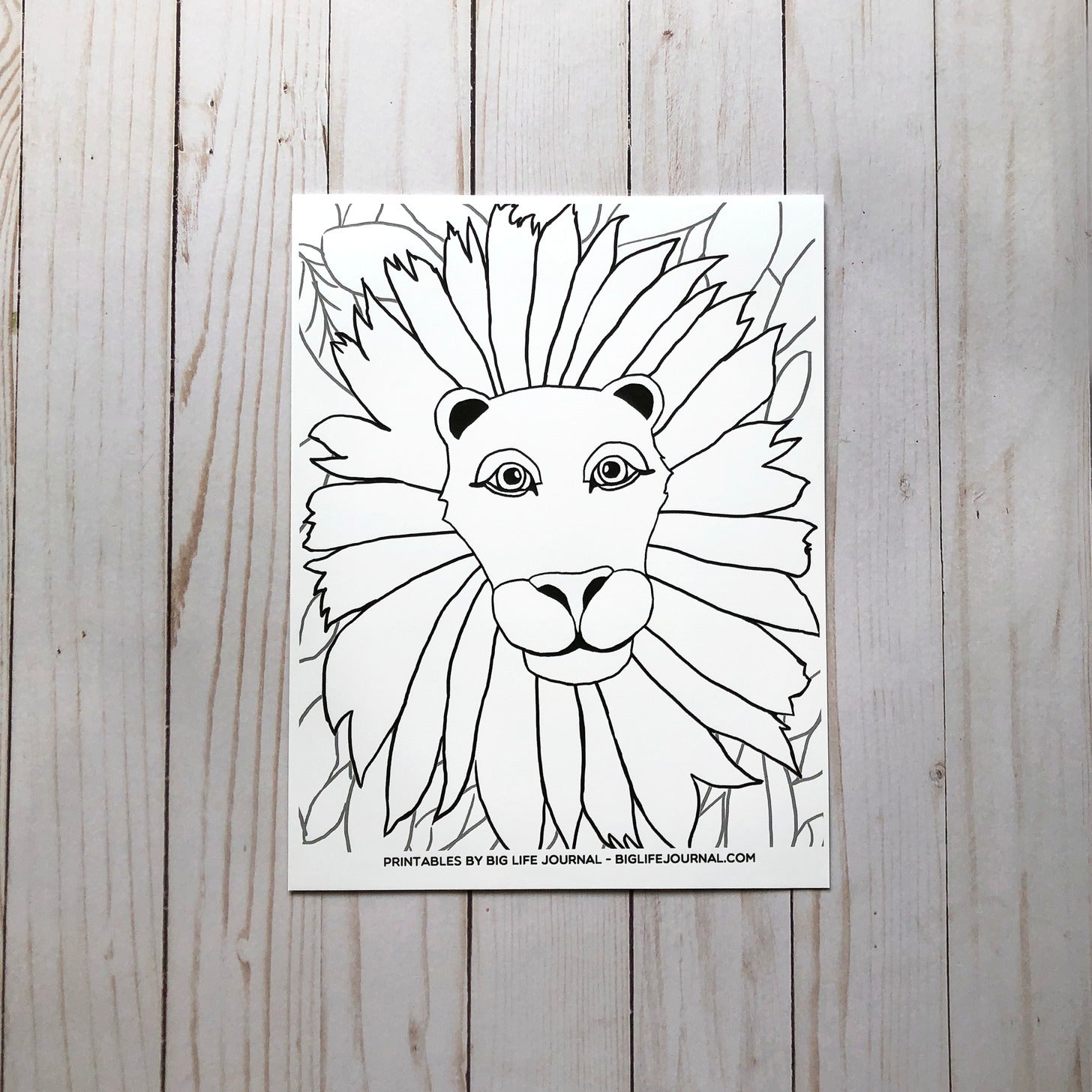 The confidence of a lion poster for kids pdf â big life journal