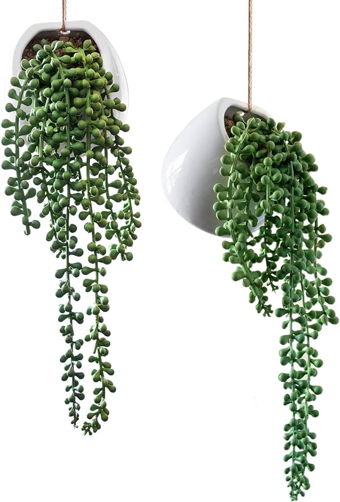 Royal imports artificial senecio plant string of pearls decorative ceramic wall