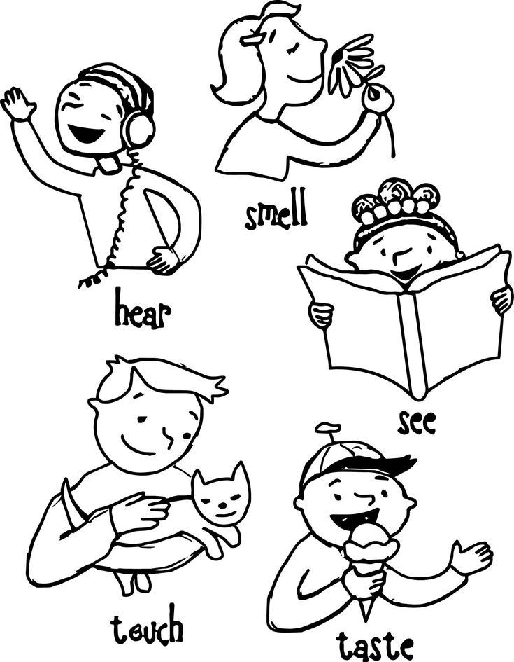 Senses coloring pages free ingles para preescolar material escolar en ingles taller de ingles