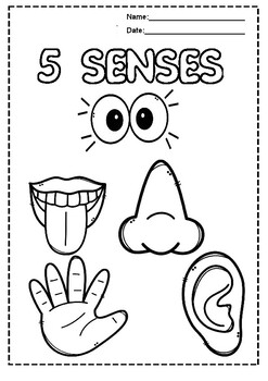 Printable five senses coloring book for kids senses coloring pages pdf