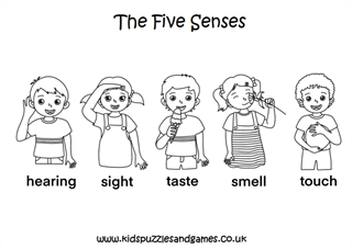 The five sense louring page