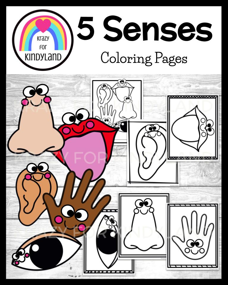 Five senses coloring pages booklet touch see hear smell taste