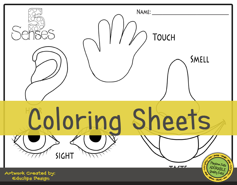 Our five senses prek worksheets