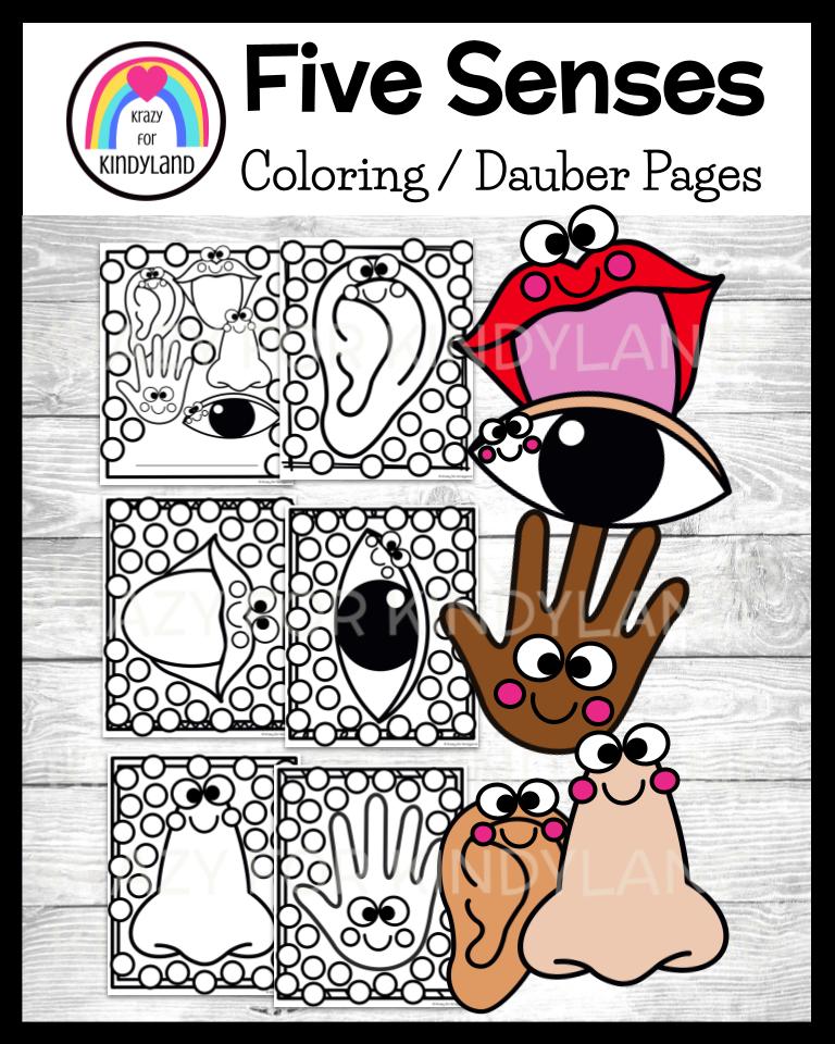 Five senses coloring dauber pages booklet sight touch hear smell taste