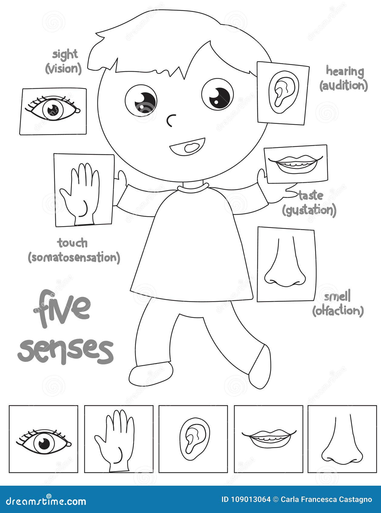 Five senses boy coloring illustration stock vector