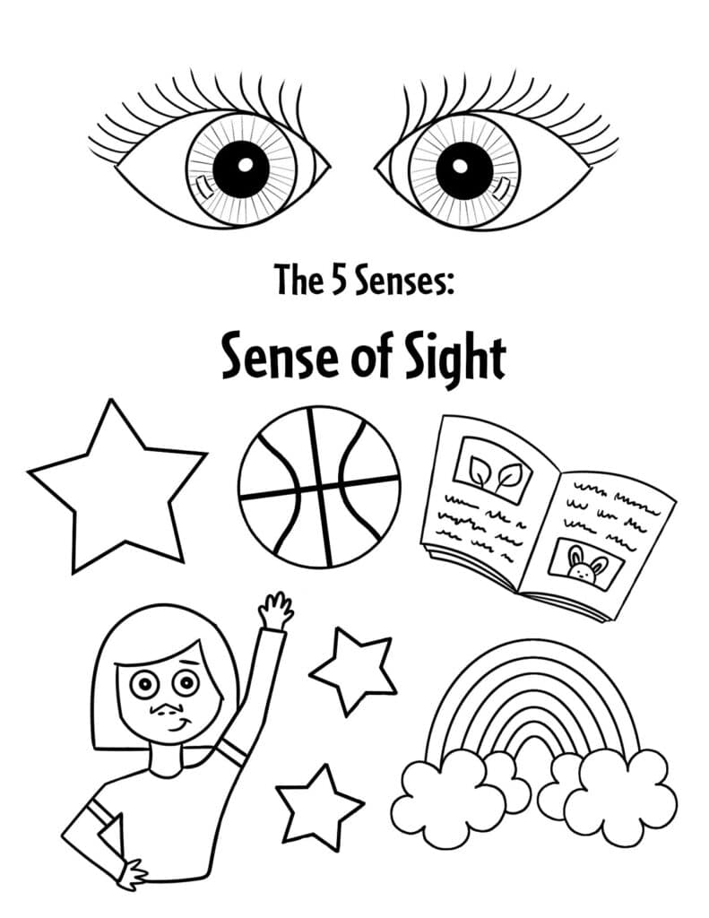 The senses worksheets for preschool â the hollydog blog