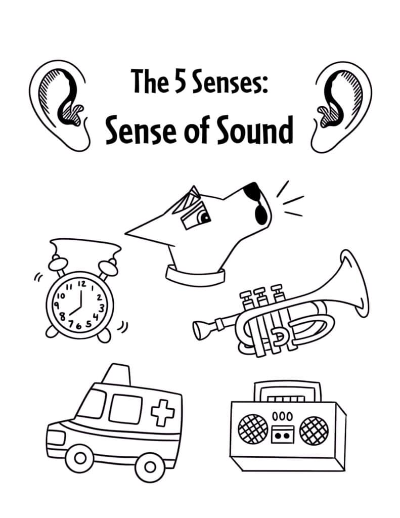 The senses worksheets for preschool â the hollydog blog