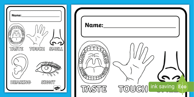 Senses colouring page colouring worksheets