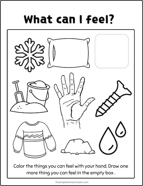 Best senses coloring pages free easy print