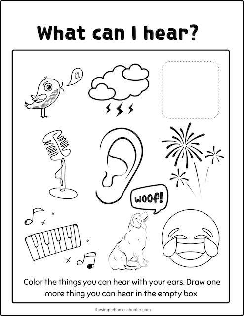 Best senses coloring pages free easy print