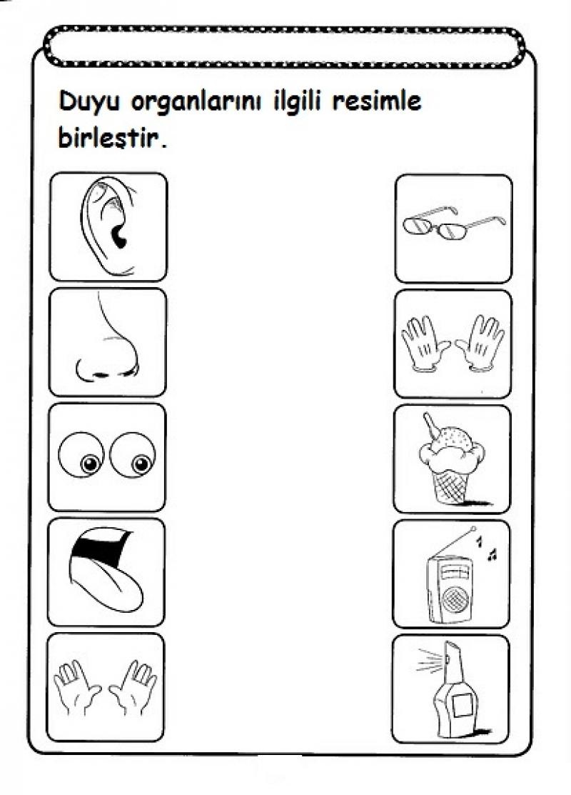 Five senses worksheet for kids crafts and worksheets for preschooltoddler and kindergarten