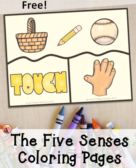 The five senses free coloring pages nylas crafty teaching