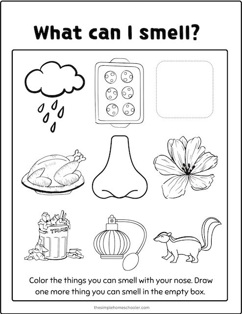 Best senses coloring pages free easy print