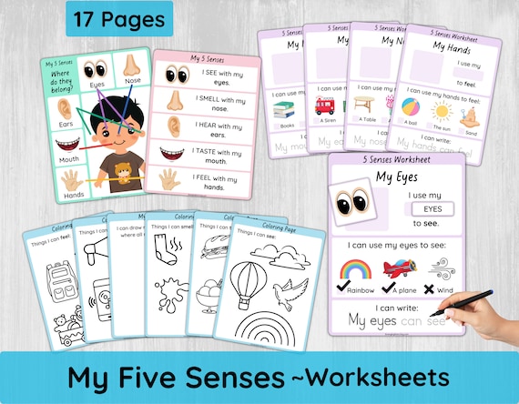 Five senses worksheets for preschool toddler senses activity printable learn senses sorting coloring pages my body parts busy book download now