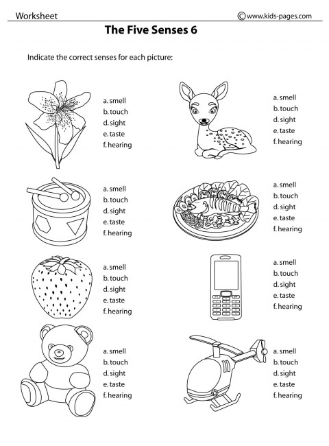 The five senses bw worksheet