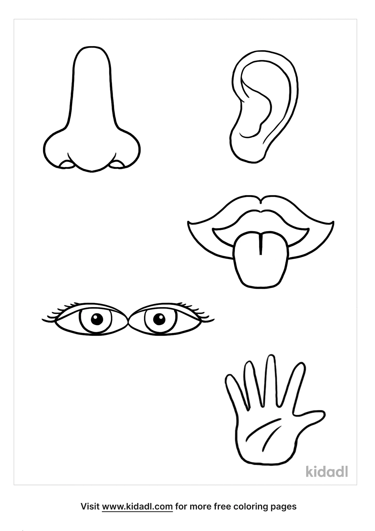 Free senses coloring page coloring page printables