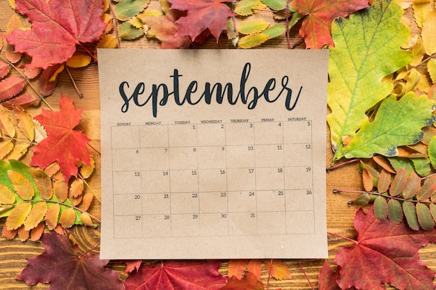 Premium photo september calendar sheet with multiple autumn leaves of red yellow and green color