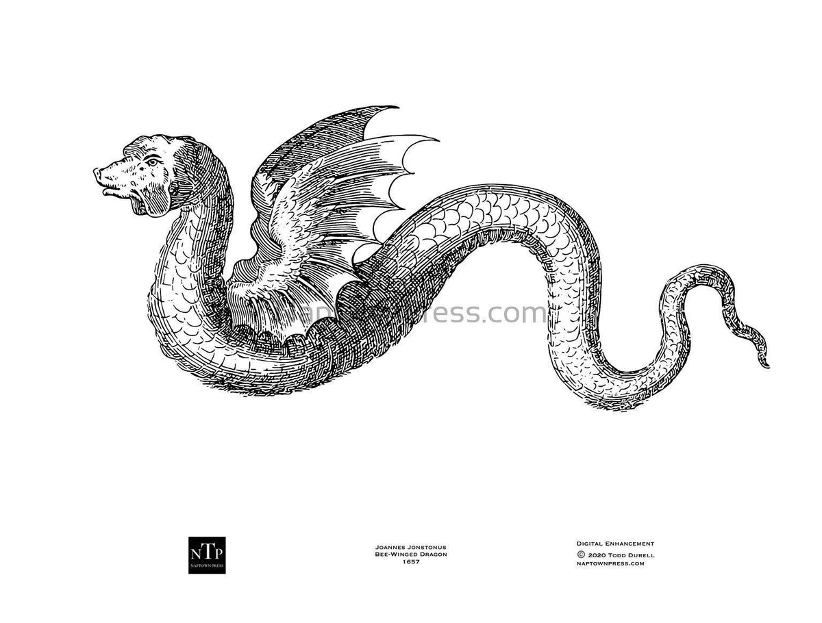 Printable coloring page th century âbee