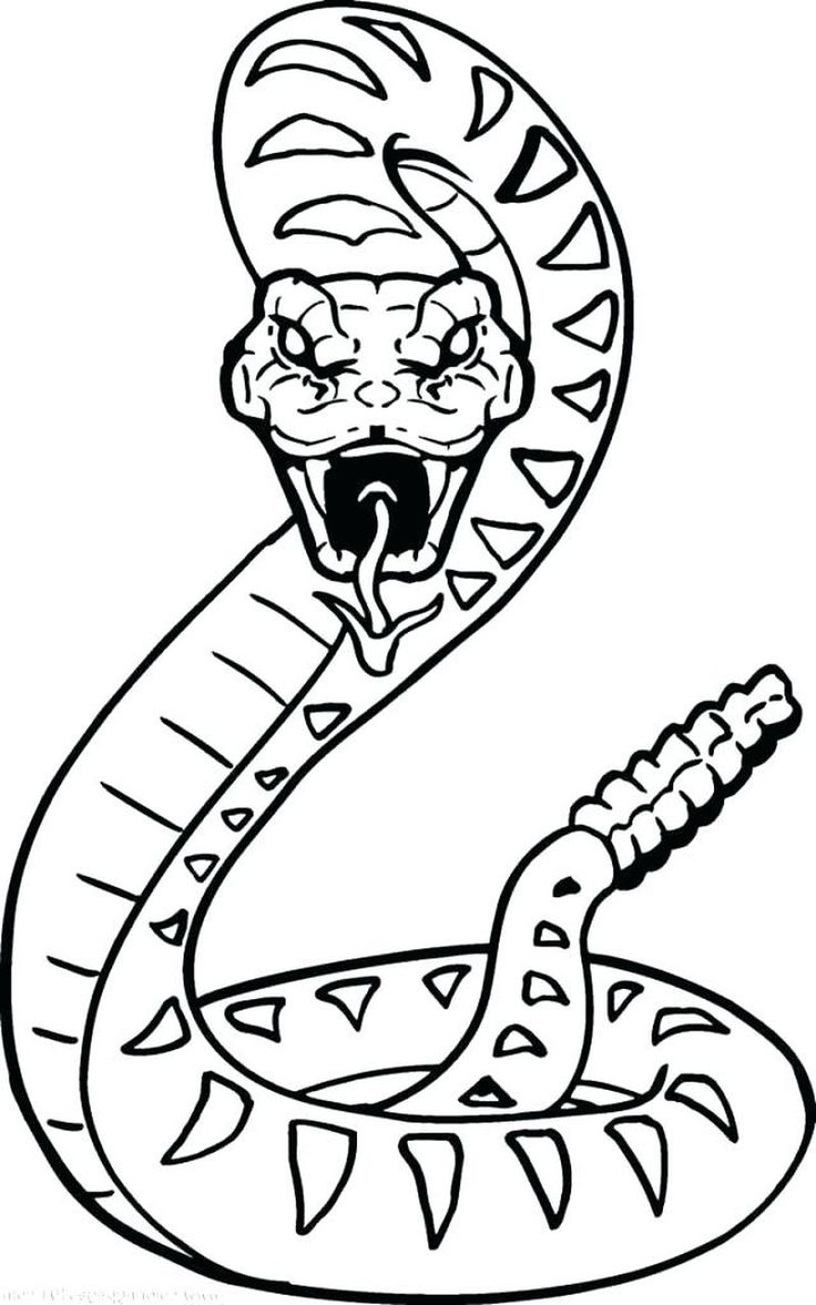 Snake coloring pages pdf printable