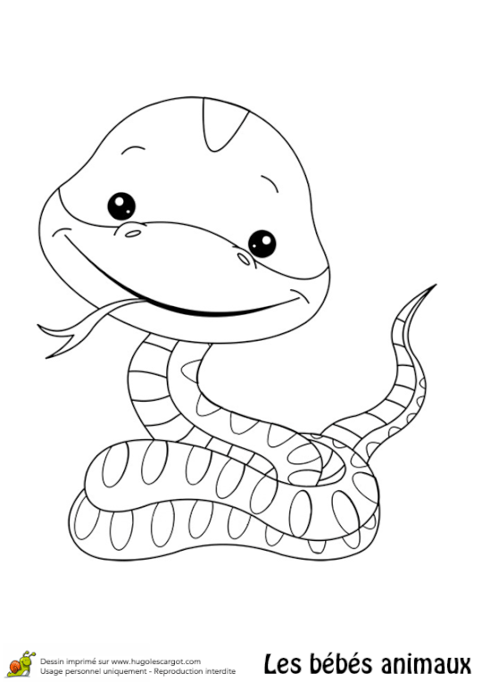 Coloriage beacutebeacute serpent coloring books coloring book pages coloring pages