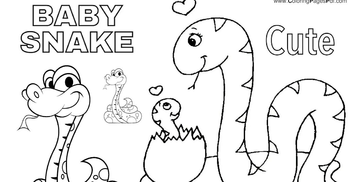 Baby snake coloring pages snake coloring pages baby snakes coloring pages