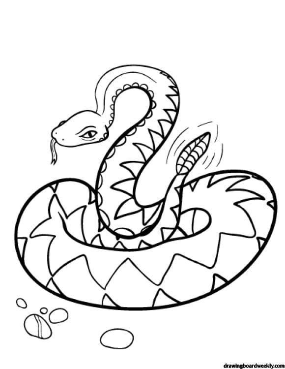 Beautiful rattlesnake coloring page