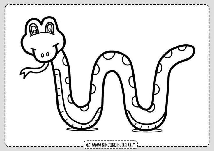 Snake drawing for coloring