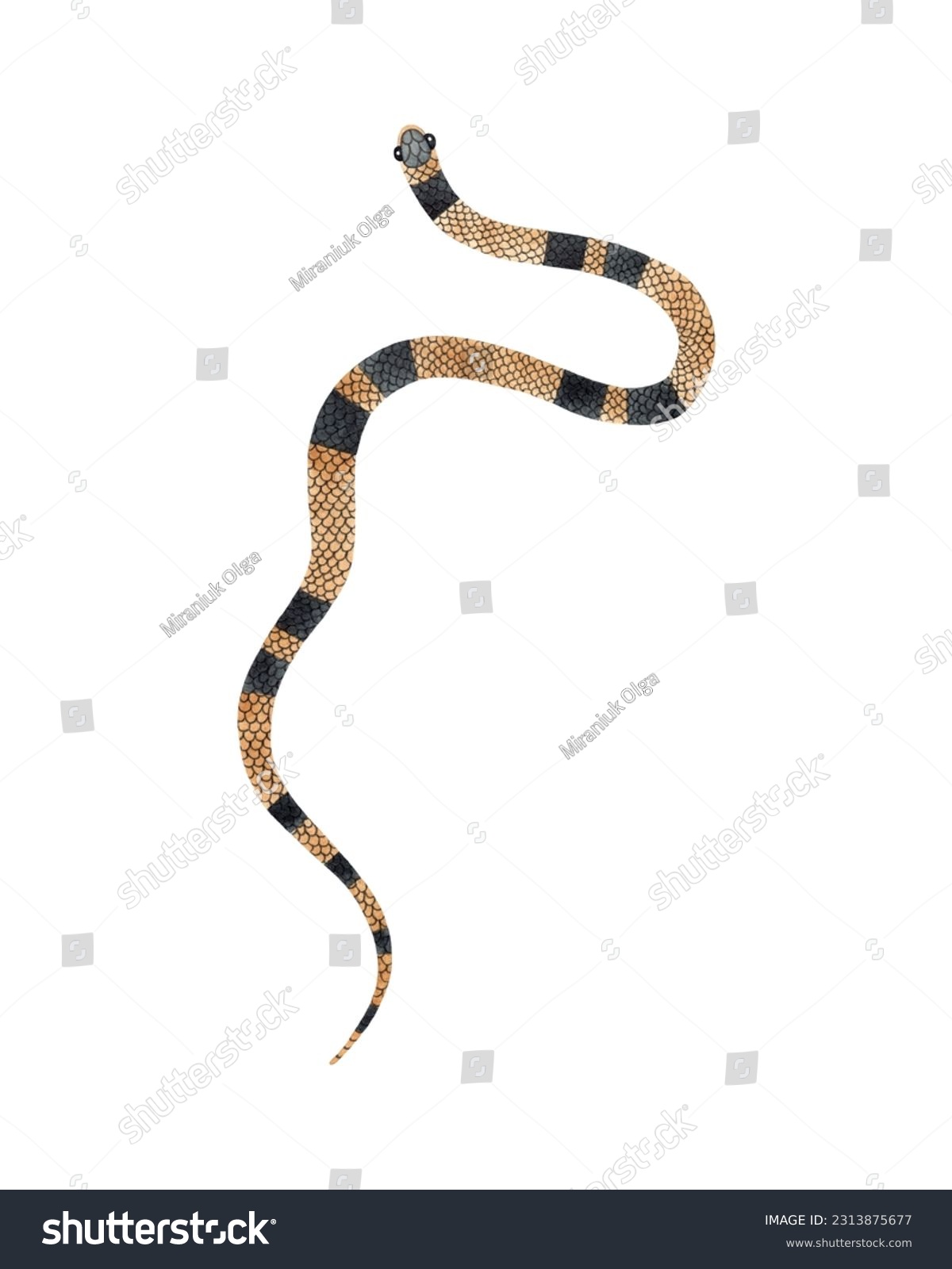 Snake yellow isolated mãs de ilustraciones y dibujos de stock con licencia libres de regalãas