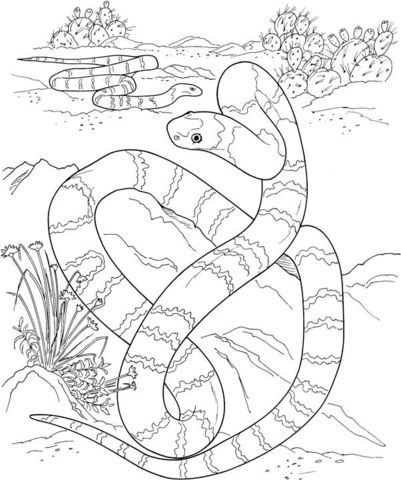 Una larga serpiente en el dierto dibujo para colorear categorãas serpient realistas pãginas parâ snake coloring pag coloring pag horse coloring pag